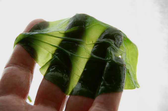 How to cook Plantain just right...