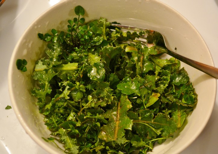 sow thistle salad bittercress oxeye daisy