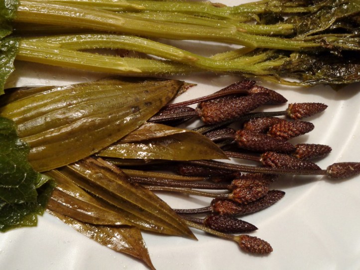 Fully cooked and ready. Plantain is a great source of  Iron as well as leafy green vitamins and minerals. 