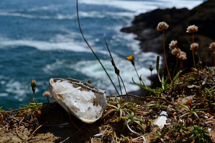 Harvesting Sea Salt in Depoe Bay, Oregon. The Northwest Forager.